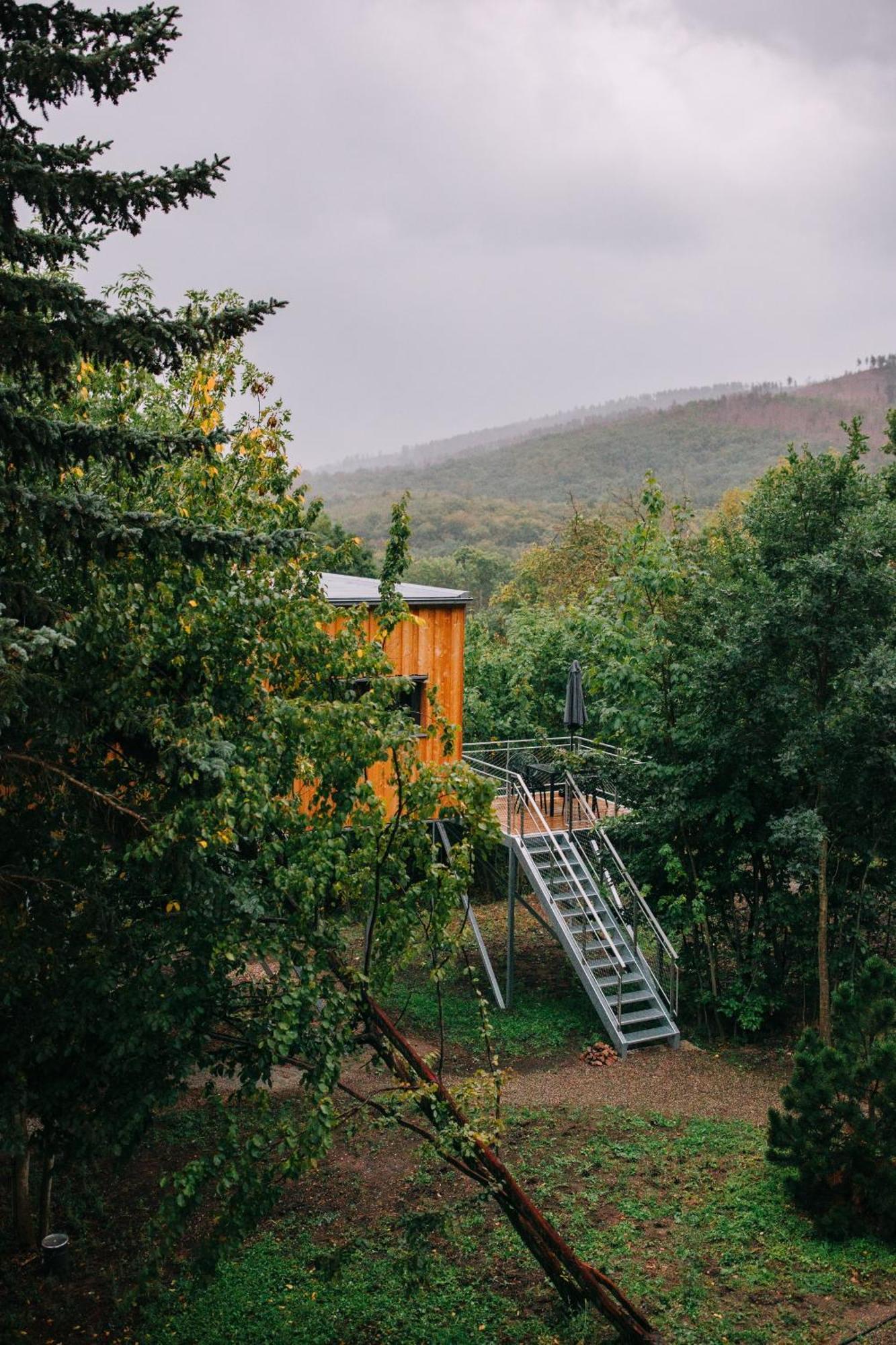 Baumwipfel-Resort "Lug Ins Land" Ільзенбург Екстер'єр фото